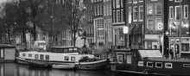 Amsterdam 3 Glass inserto 20x50