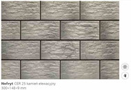 цер 25 нефрит 300x148x9