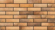 Loft Brick Сurry 245х65х8