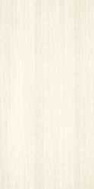 Ashen R.4 29,8X59,8