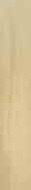 Modern Birch gold 898x148