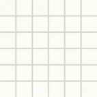 Wall mosaic Rako Tendence WDM06050 30x30 cm