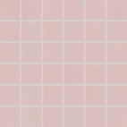 Wall mosaic Rako Tendence WDM06055 30x30 cm