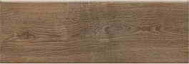 Ashwood braz ash 04 20x60