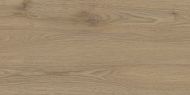 Madera Brown 31x62