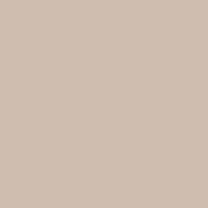 Color One Rako RAL 0508010