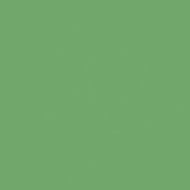 Color One Rako RAL 1306050