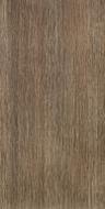 Biloba brown 30,8x60,8