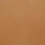 Absolute beige 60x60