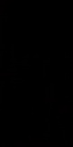 Synergy Nero 30x60