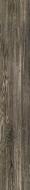 Terrane grey POL 119,8x19