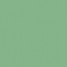 Gamma Green Mat 19,8x19,8