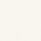 Gamma Bianco Mat 19,8x19,8