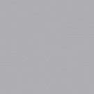 Gamma Grey Shiny 19,8x19,8