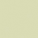 Gamma Pistacjowa Shiny 19,8x19,8