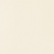 Beat of White 59,8x59,8