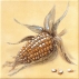 Classic 150x150x6 WIT1B261
