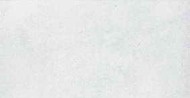 Cemento 298x598x10 DARSE660