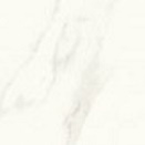 Calacatta polished 59,8x59,8