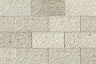 Saltstone bianco 148x300x9mm