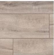 Платан Елисейский