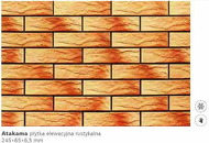 Атакама 245х65